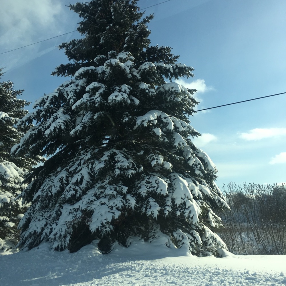 Meet your Posher, Lena